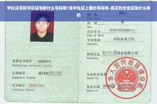 学位证号和学历证号都什么号码啊?是学生证上面的号码吗-真正的毕业证是什么样的