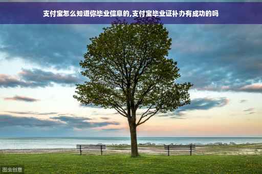 支付宝怎么知道你毕业信息的,支付宝毕业证补办有成功的吗