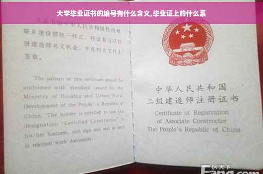 大学毕业证书的编号有什么含义,毕业证上的什么系