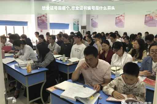 毕业证号是哪个,毕业证书编号是什么开头