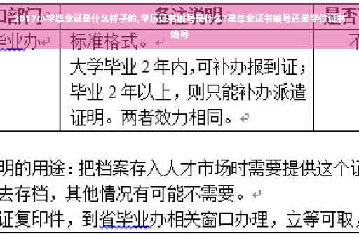 2017小学毕业证是什么样子的,学历证书编号是什么?是毕业证书编号还是学位证书编号