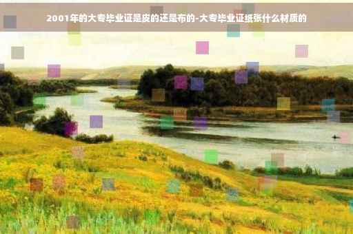 2001年的大专毕业证是皮的还是布的-大专毕业证纸张什么材质的