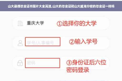 山大函授毕业证书图片大全高清,山大的毕业证和山大威海分校的毕业证一样吗