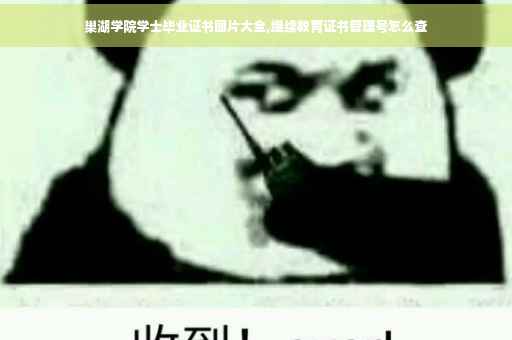 巢湖学院学士毕业证书图片大全,继续教育证书管理号怎么查
