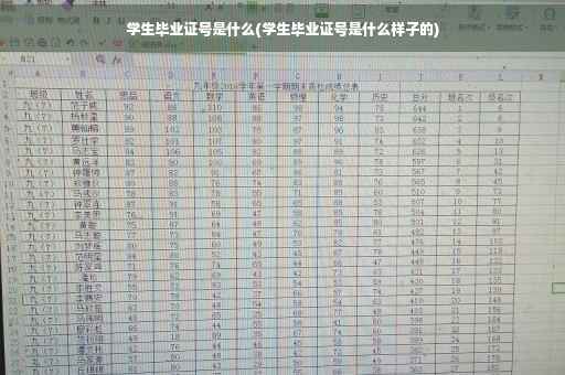 学生毕业证号是什么(学生毕业证号是什么样子的)