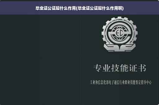毕业证公证起什么作用(毕业证公证起什么作用啊)