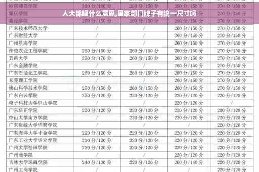 人大锦鲤什么意思,国家部门牌子有统一尺寸吗