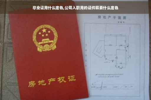 毕业证用什么底色,公司入职用的证件照要什么底色