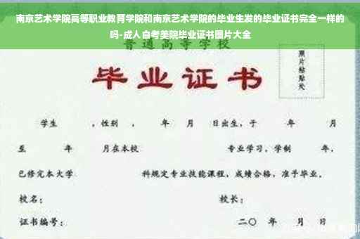 南京艺术学院高等职业教育学院和南京艺术学院的毕业生发的毕业证书完全一样的吗-成人自考美院毕业证书图片大全
