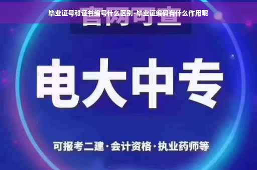毕业证号和证书编号什么区别-毕业证编码有什么作用呢