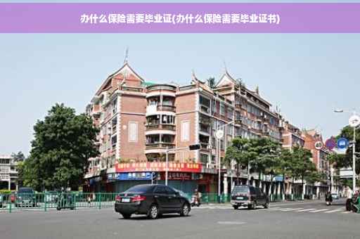办什么保险需要毕业证(办什么保险需要毕业证书)