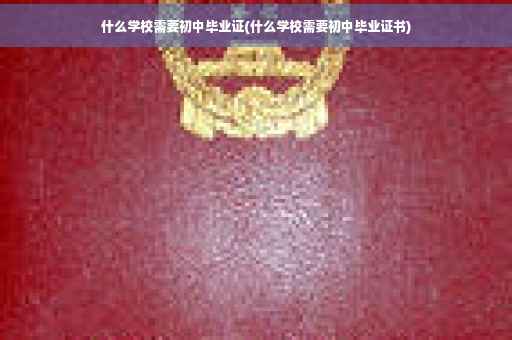 什么学校需要初中毕业证(什么学校需要初中毕业证书)