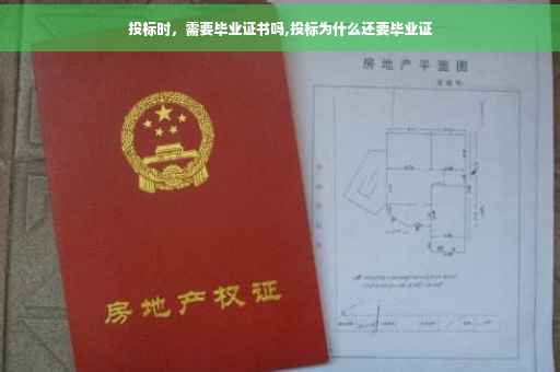 投标时，需要毕业证书吗,投标为什么还要毕业证
