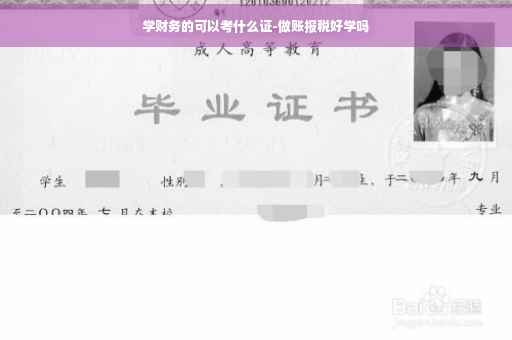 学财务的可以考什么证-做账报税好学吗