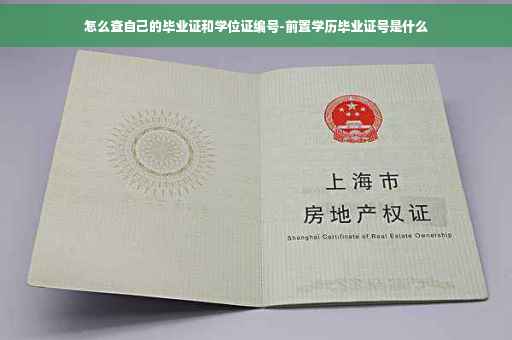 怎么查自己的毕业证和学位证编号-前置学历毕业证号是什么