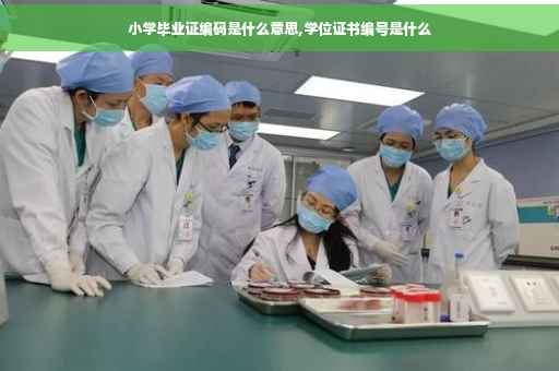 小学毕业证编码是什么意思,学位证书编号是什么