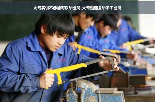 大专实训不参加可以毕业吗,大专逃课会毕不了业吗