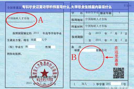专科毕业证里边带的档案是什么,大学毕业生档案内容是什么