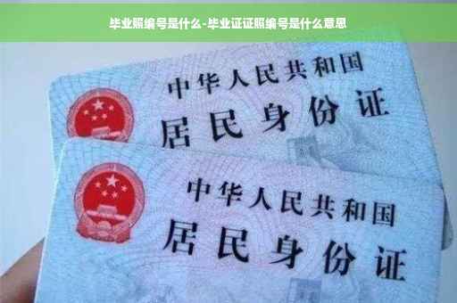 毕业照编号是什么-毕业证证照编号是什么意思