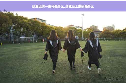 毕业证统一编号是什么,毕业证上编码是什么