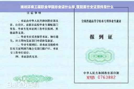 潍坊环境工程职业学院毕业证什么样,医院要毕业证原件是什么