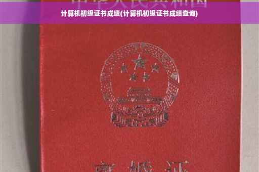 计算机初级证书成绩(计算机初级证书成绩查询)