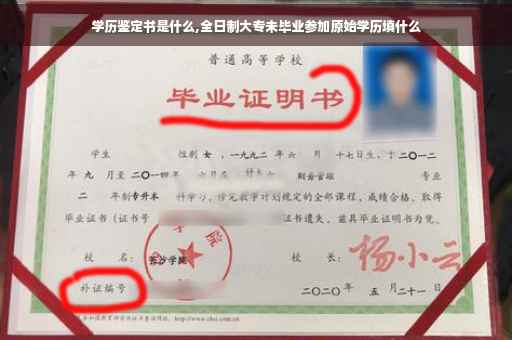 学历鉴定书是什么,全日制大专未毕业参加原始学历填什么