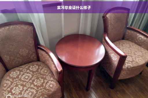 实习毕业证什么样子