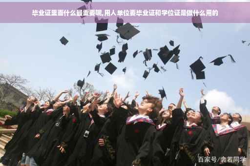 毕业证里面什么最重要呢,用人单位要毕业证和学位证是做什么用的
