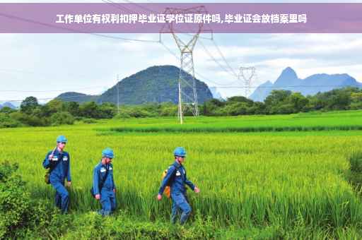 工作单位有权利扣押毕业证学位证原件吗,毕业证会放档案里吗
