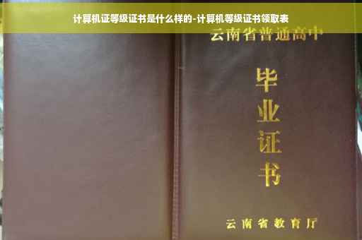 计算机证等级证书是什么样的-计算机等级证书领取表