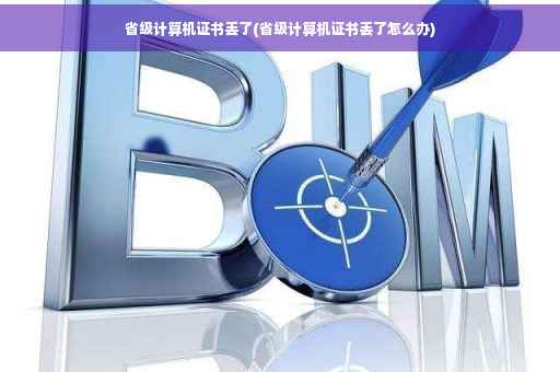 省级计算机证书丢了(省级计算机证书丢了怎么办)