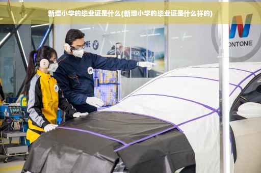 新增小学的毕业证是什么(新增小学的毕业证是什么样的)