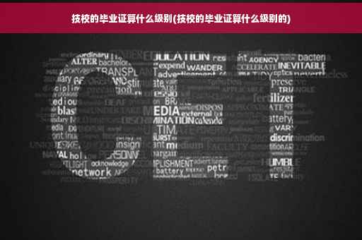 技校的毕业证算什么级别(技校的毕业证算什么级别的)