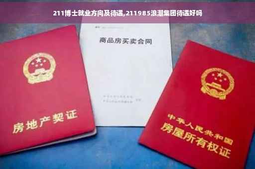211博士就业方向及待遇,211985浪潮集团待遇好吗