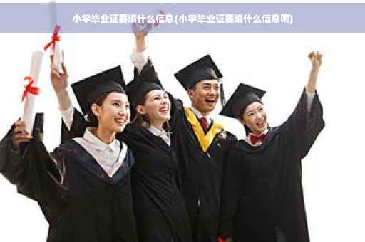 小学毕业证要填什么信息(小学毕业证要填什么信息呢)