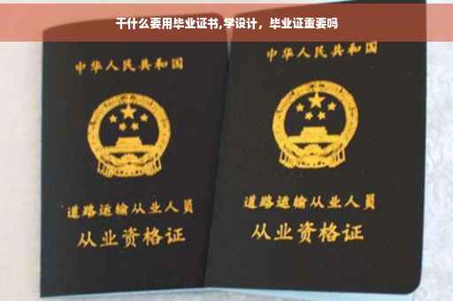 干什么要用毕业证书,学设计，毕业证重要吗