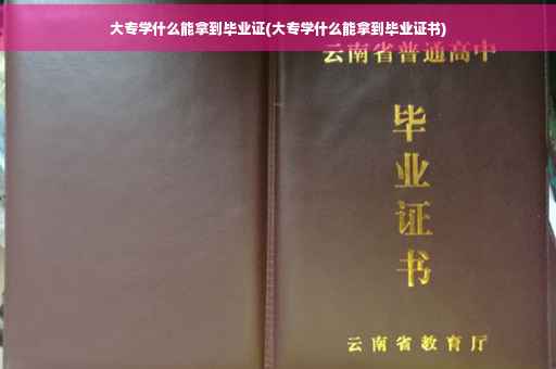 大专学什么能拿到毕业证(大专学什么能拿到毕业证书)