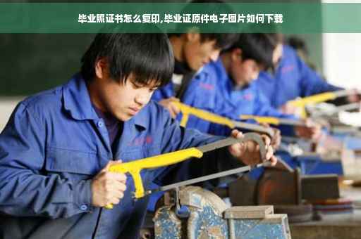 毕业照证书怎么复印,毕业证原件电子图片如何下载