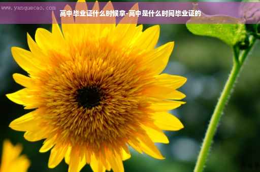 高中毕业证什么时候拿-高中是什么时间毕业证的