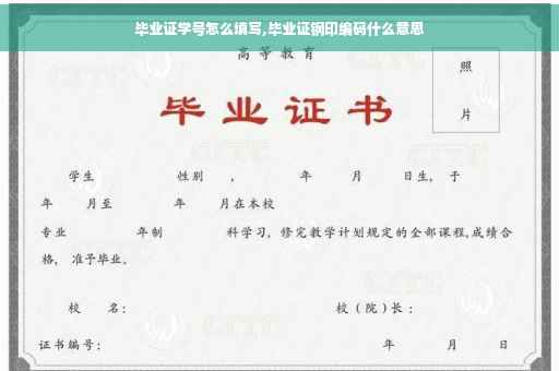 毕业证学号怎么填写,毕业证钢印编码什么意思