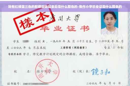 贴有红绿蓝三色的陀螺旋转起来后是什么颜色的-焦作小学毕业证是什么颜色的