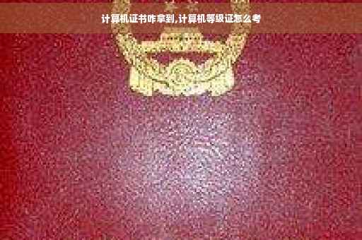 计算机证书咋拿到,计算机等级证怎么考