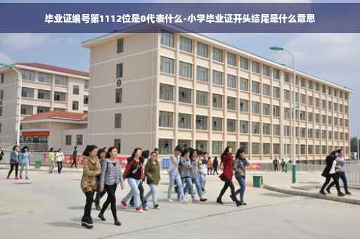 毕业证编号第1112位是0代表什么-小学毕业证开头结尾是什么意思