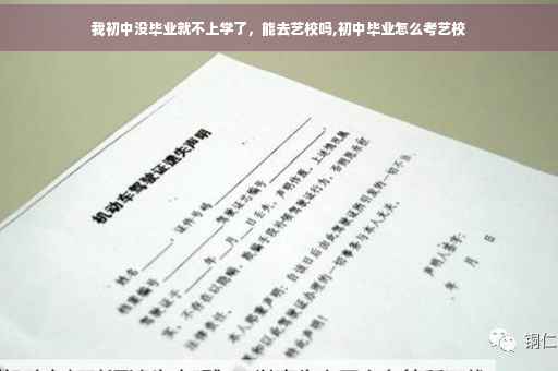 我初中没毕业就不上学了，能去艺校吗,初中毕业怎么考艺校