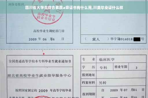 四川省大学生综合素质a级证书有什么用,川美毕业证什么样