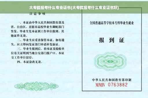 大专能报考什么专业证书(大专能报考什么专业证书好)