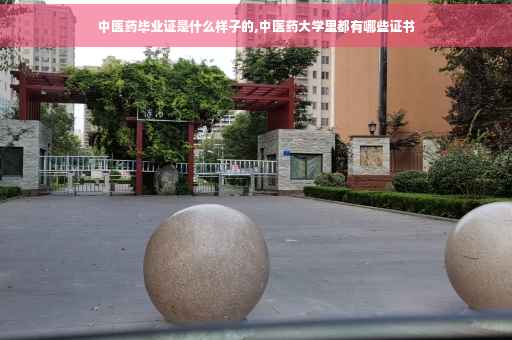 中医药毕业证是什么样子的,中医药大学里都有哪些证书