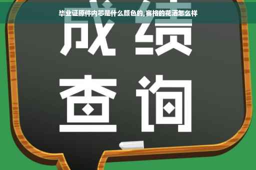 毕业证原件内芯是什么颜色的,赛格的花洒怎么样