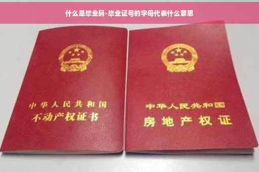 什么是毕业码-毕业证号的字母代表什么意思